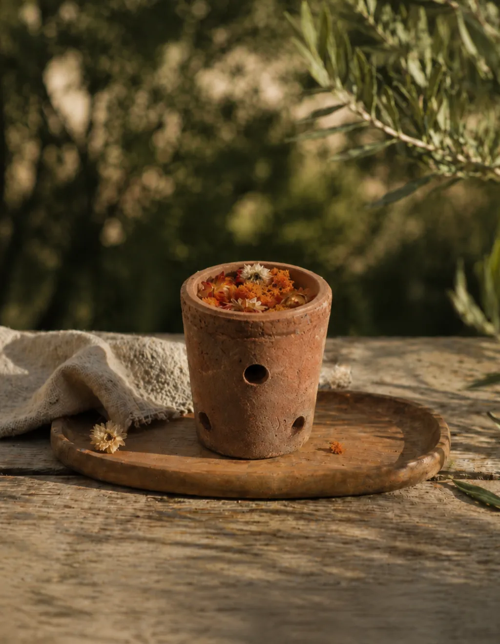 Mas du Roseau Infusions Potimarron pot-pourri châtaigne