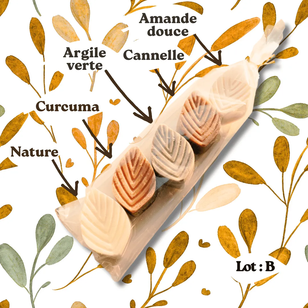 Savons d’Auxy savons feuille artisanaux assortiment