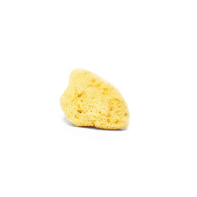Savonnerie Buissonnière éponge de mer bébé 8cm naturelle