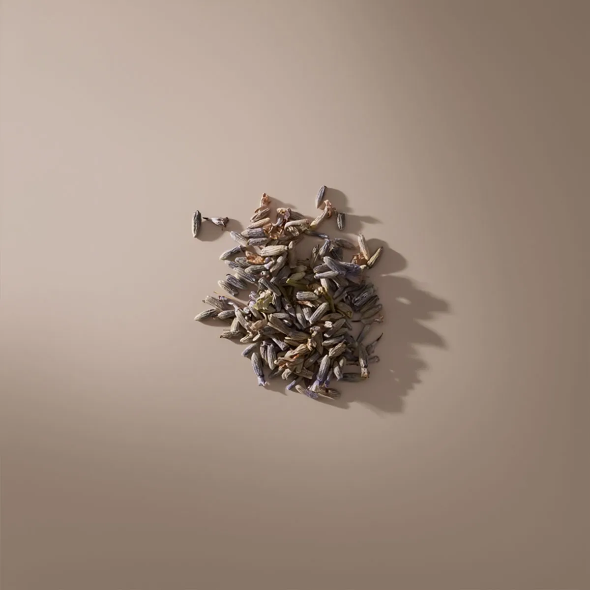 Mas du Roseau Infusions Lavande sachet parfumé lavandin