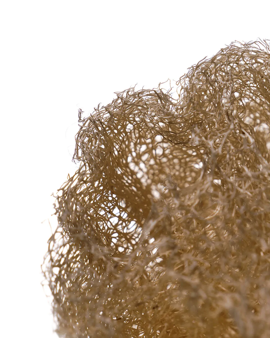Laboratoire Najjar Loofah Brut éponge végétale 28cm