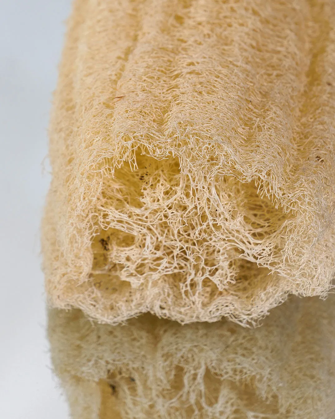 Laboratoire Najjar Loofah Brut éponge végétale 28cm