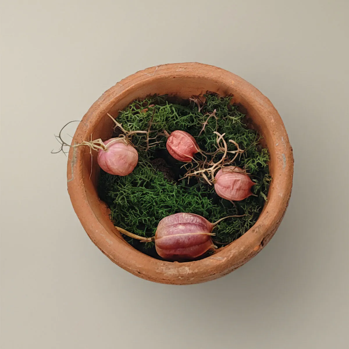Mas du Roseau Infusions Pot-Pourri Vétiver terre cuite