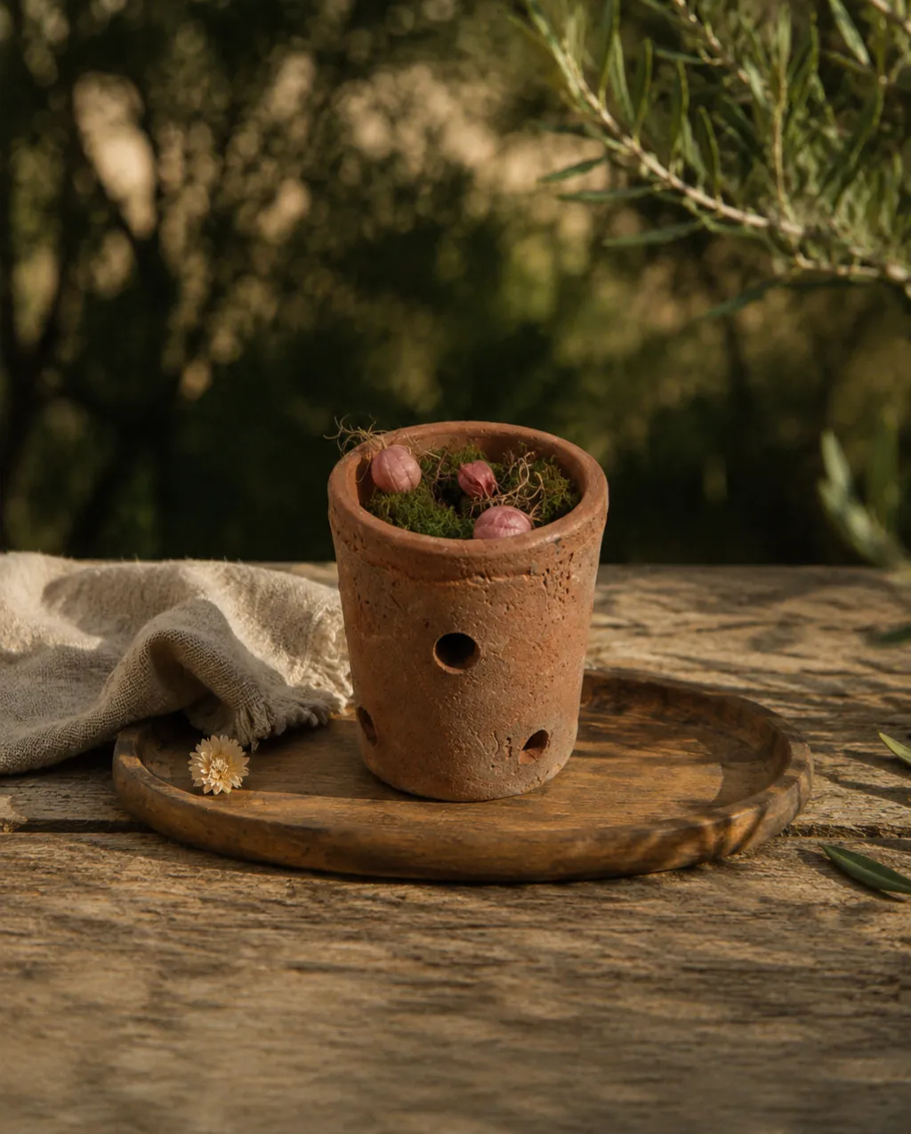 Mas du Roseau Infusions Pot-Pourri Vétiver terre cuite