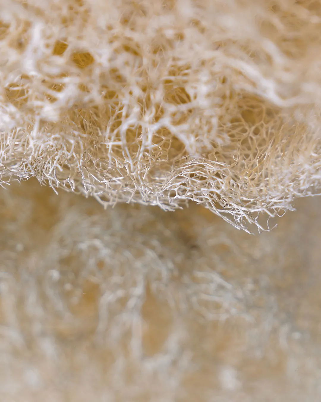 Laboratoire Najjar Loofah Brut éponge végétale 28cm
