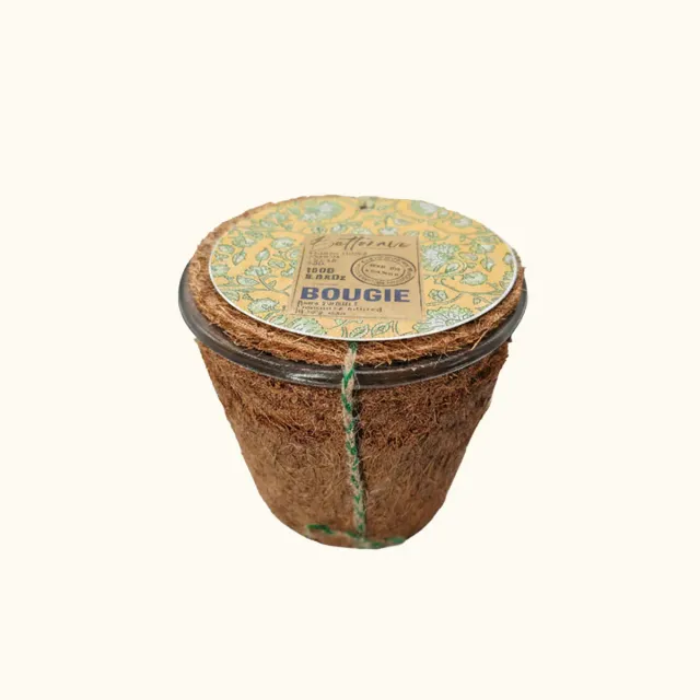Mas du Roseau Infusion Betterave bougie cire soja